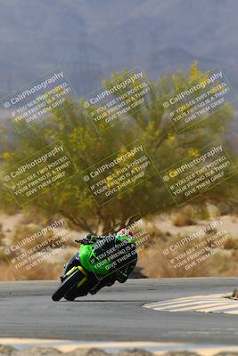 media/Apr-10-2022-SoCal Trackdays (Sun) [[f104b12566]]/Turn 5 Tree of Life (1040am)/